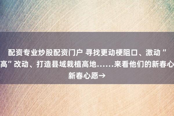 配资专业炒股配资门户 寻找更动梗阻口、激动“新双高”改动、打造县域栽植高地……来看他们的新春心愿→