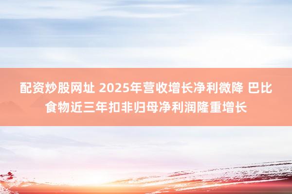 配资炒股网址 2025年营收增长净利微降 巴比食物近三年扣非归母净利润隆重增长