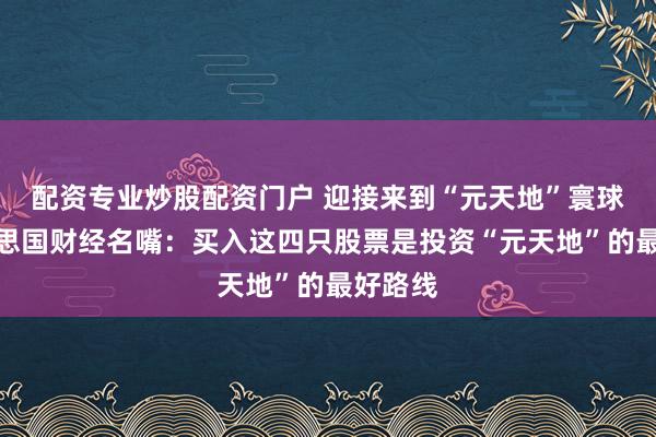 配资专业炒股配资门户 迎接来到“元天地”寰球！好意思国财经名嘴：买入这四只股票是投资“元天地”的最好路线