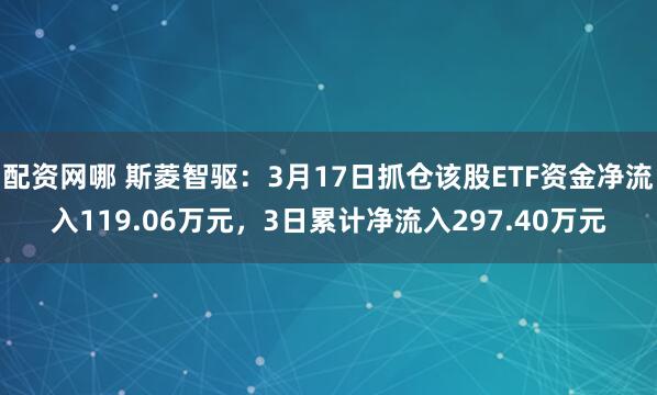 配资网哪 斯菱智驱：3月17日抓仓该股ETF资金净流入119.06万元，3日累计净流入297.40万元