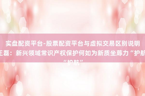 实盘配资平台-股票配资平台与虚拟交易区别说明 王磊：新兴领域常识产权保护何如为新质坐蓐力“护航”