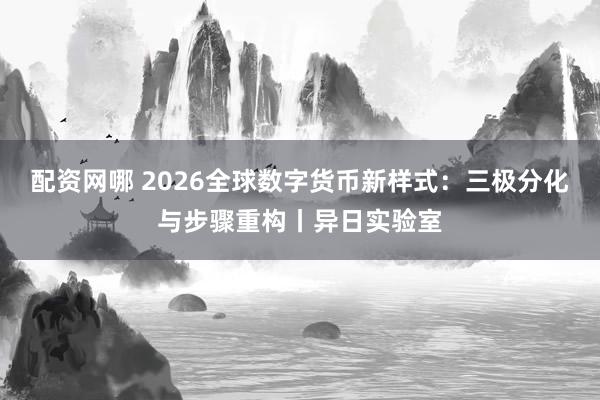 配资网哪 2026全球数字货币新样式：三极分化与步骤重构丨异日实验室