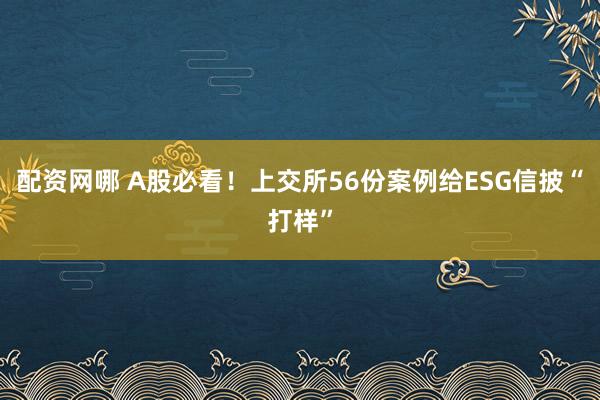 配资网哪 A股必看！上交所56份案例给ESG信披“打样”