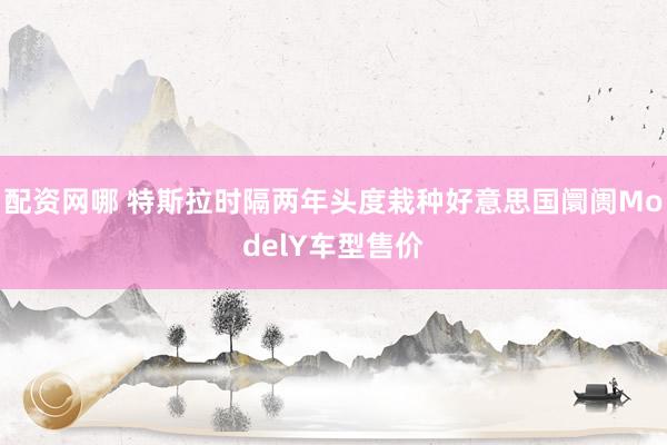 配资网哪 特斯拉时隔两年头度栽种好意思国阛阓ModelY车型售价