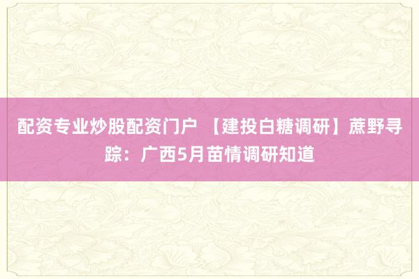 配资专业炒股配资门户 【建投白糖调研】蔗野寻踪：广西5月苗情调研知道